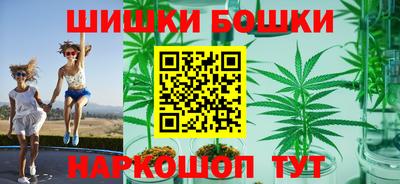 альфа пвп Новодвинск