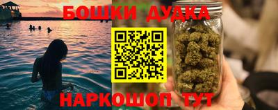 альфа пвп Новодвинск