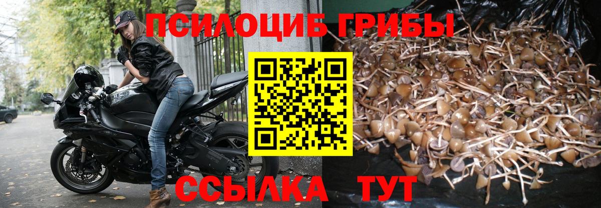 Галлюциногенные грибы Magic Shrooms  Вход с VPN  Северобайкальск 